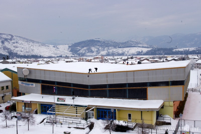 galebovi (1)